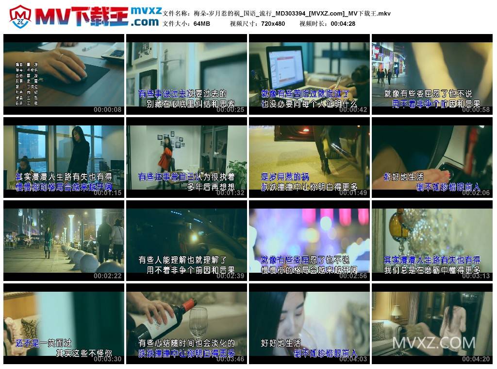 梅朵-岁月惹的祸_国语_流行_MD303394